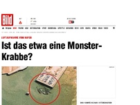 Bild zum Artikel: Luftaufnahmen - Ist das etwa eine Monster-Krabbe?