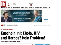 Bild zum Artikel: Mikroben aus Plüsch - Krank: Ebola, HIV und Herpes zum Kuscheln