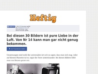 Bild zum Artikel: Bei diesen 30 Bildern ist pure Liebe in der Luft. Von Nr 14 kann man gar nicht genug bekommen.