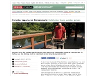 Bild zum Artikel: Forscher reparieren Rückenmark: Gelähmter kann wieder gehen