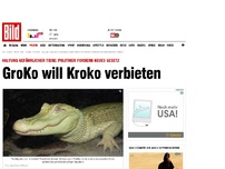 Bild zum Artikel: Bald neues Gesetz? - GroKo will Kroko verbieten