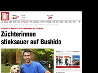 Bild zum Artikel: Hunde im Tierheim - Züchterinnen stinksauer auf Bushido