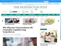 Bild zum Artikel: Wie Pharma-Unternehmen die Cannabis-Legalisierung torpedieren