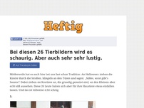 Bild zum Artikel: Bei diesen 26 Tierbildern wird es schaurig. Aber auch sehr sehr lustig.