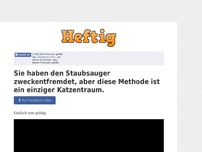 Bild zum Artikel: Sie haben den Staubsauger zweckentfremdet, aber diese Methode ist ein einziger Katzentraum.