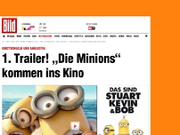 Bild zum Artikel: Quietschgelb & saulustig - 1. Trailer! „Die Minions“ kommen ins Kino