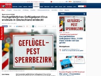Bild zum Artikel: Sperrzone errichtet - Hochgefährliches Geflügelpest-Virus in Deutschland entdeckt