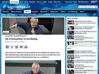 Bild zum Artikel: Video: Der Auftritt Biermanns im Bundestag