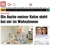 Bild zum Artikel: Tierliebe extrem - Die Asche meiner Katze im Wohnzimmer