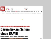 Bild zum Artikel: BAMBI-Verleihung - Rührende Vettel- Laudatio für Schumi