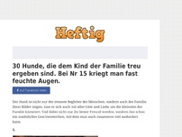 Bild zum Artikel: 30 Hunde, die dem Kind der Familie treu ergeben sind. Bei Nr 15 kriegt man fast feuchte Augen.