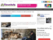 Bild zum Artikel: Heimatloser Mann rettet 11 Hunde vor dem sicheren Tod