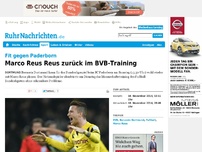 Bild zum Artikel: Reus zurück im BVB-Training