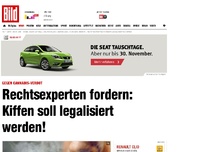 Bild zum Artikel: Cannabis-Verbot - Rechtsexperten fordern legalisiertes Kiffen!