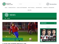 Bild zum Artikel: Wolfsburgs Rodriguez wieder im Mannschaftstraining