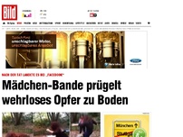 Bild zum Artikel: Video bei „Facebook“ - Mädchen-Bande prügelt Opfer zu Boden