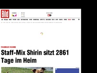 Bild zum Artikel: Trauriger Rekord - Staff-Mix Shirin sitzt 2861 Tage im Heim