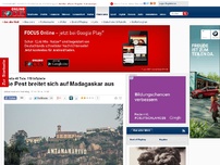 Bild zum Artikel: Bereits 40 Tote, 119 Infizierte - Die Pest breitet sich auf Madagaskar aus