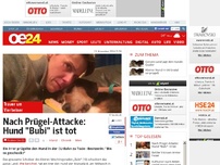 Bild zum Artikel: Nach Prügel-Attacke: Hund 'Bubi' ist tot