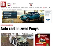 Bild zum Artikel: Horror-Crash - Auto rast in zwei Ponys