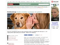 Bild zum Artikel: Hirnforschung: Hunde verstehen uns besser als gedacht