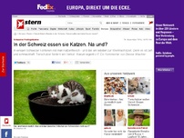 Bild zum Artikel: Schweizer Festtagsbraten: In der Schweiz essen sie Katzen. Na und?