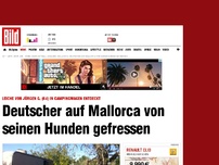 Bild zum Artikel: Auf Mallorca - Deutscher von seinen Hunden gefressen