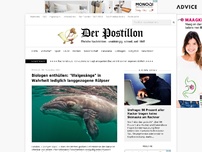 Bild zum Artikel: Biologen enthüllen: 'Walgesänge' in Wahrheit lediglich langgezogene Rülpser