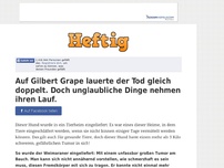 Bild zum Artikel: Auf Gilbert Grape lauerte der Tod gleich doppelt. Doch unglaubliche Dinge nehmen ihren Lauf.