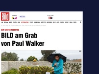 Bild zum Artikel: Zum ersten Todestag - BILD am Grab von Paul Walker
