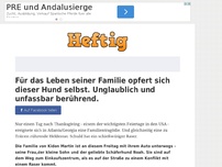 Bild zum Artikel: Für das Leben seiner Familie opfert sich dieser Hund selbst. Unglaublich und unfassbar berührend.