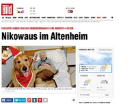Bild zum Artikel: Advents-Freude - Therapie-Hunde bei Demenzkranken