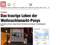 Bild zum Artikel: Tierquälerei - Das traurige Leben der Weihnachtsmarkt-Ponys