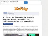 Bild zum Artikel: 67 Fotos, bei denen mir die Kinnlade herunter klappt! Besonders die Seifenblasenaugen sind...