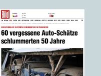 Bild zum Artikel: Oldtimer-Scheunenfund - 60 seltene Auto-Schätze schlummerten 50 Jahre