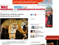 Bild zum Artikel: Niederlande verbieten jegliche Wildtierhaltung im Zirkus