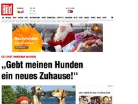 Bild zum Artikel: Unheilbar krebskrank - „Gebt meinen Hunden ein neues Zuhause!“