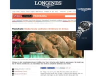Bild zum Artikel: Tierschutz: Niederlande verbieten Wildtiere im Zirkus