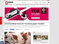 Bild zum Artikel: Tierschutz: Gericht bestätigt Tierhaltungsverbot gegen Straathof