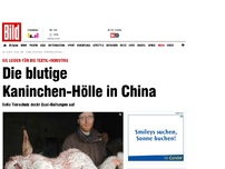 Bild zum Artikel: Schlimme Qualen - Blutige Kaninchen- Hölle in China