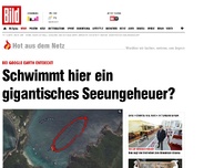 Bild zum Artikel: Bei Google Earth entdeckt - Schwimmt hier ein Seeungeheuer?