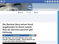 Bild zum Artikel: Der Besitzer lässt seinen Hund angebunden im Sturm zurück. Was als nächstes passiert gibt Hoffnung.