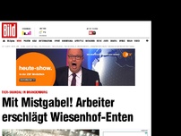 Bild zum Artikel: Tierquäler-Video - Arbeiter erschlägt Wiesenhof-Enten