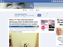 Bild zum Artikel: Diese 17 Tiere sind fest davon überzeugt, dass sie Menschen sind. Du wirst dich krümmen vor Lachen.