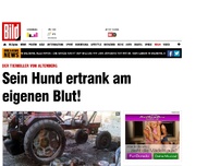 Bild zum Artikel: Altenberger Tierkiller - Sein Hund ertrank am eigenen Blut!