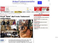 Bild zum Artikel: Hund 'Bela' darf trotz Testament weiterleben
