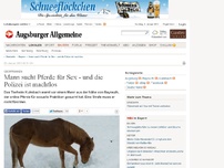Bild zum Artikel: Oberfranken: Mann sucht Pferde für Sex - und die Polizei ist machtlos