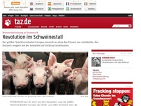 Bild zum Artikel: Massentierhaltung in Dänemark: Revolution im Schweinestall