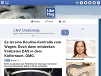 Bild zum Artikel: Es ist eine Routine-Kontrolle vom Wagen. Doch dann entdecken Polizisten DAS in dem Kofferraum. OMG.