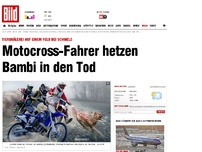 Bild zum Artikel: Tierquälerei - Motocross-Fahrer hetzen Bambi in den Tod